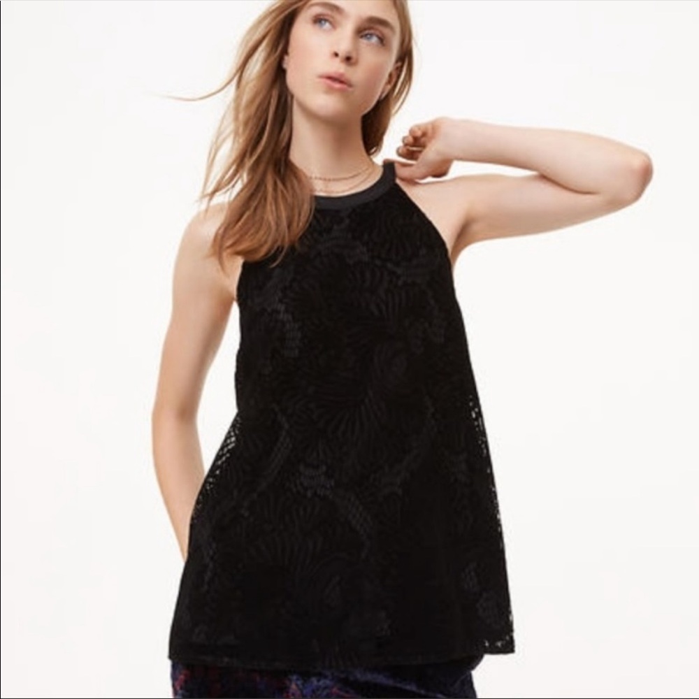 LOFT Velvet Sleeveless Top